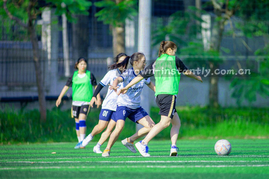 四段金色光阶象征会员权益层层递进